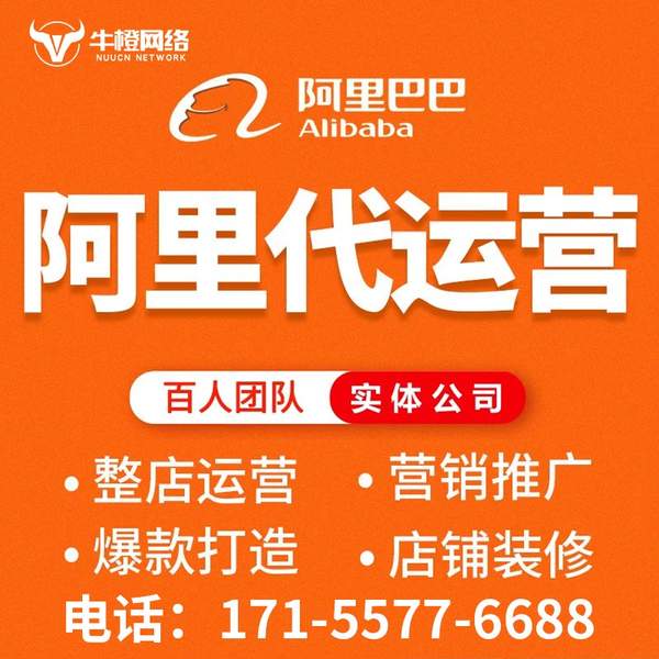 迪庆电商代运营