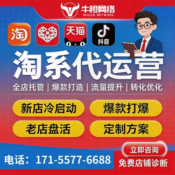 迪庆电商代运营