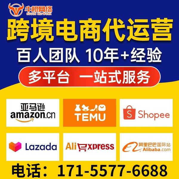 迪庆电商代运营