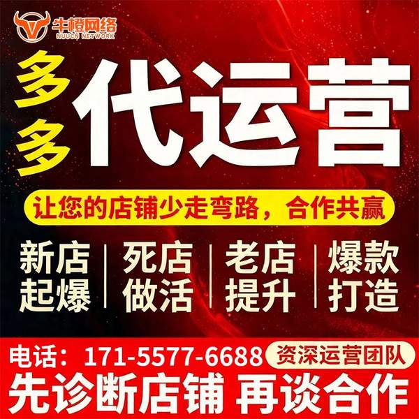 迪庆电商代运营
