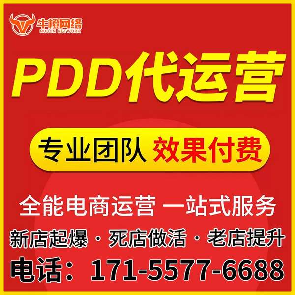迪庆电商代运营