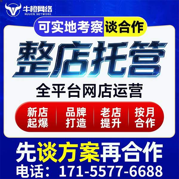 迪庆电商代运营