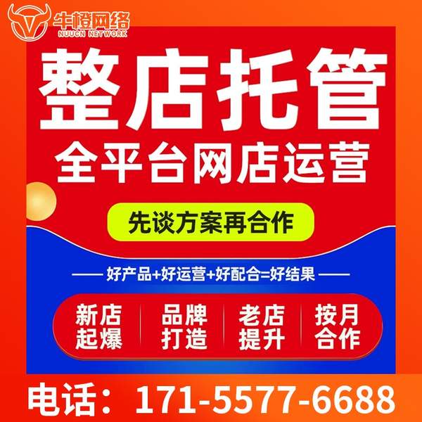 迪庆电商代运营