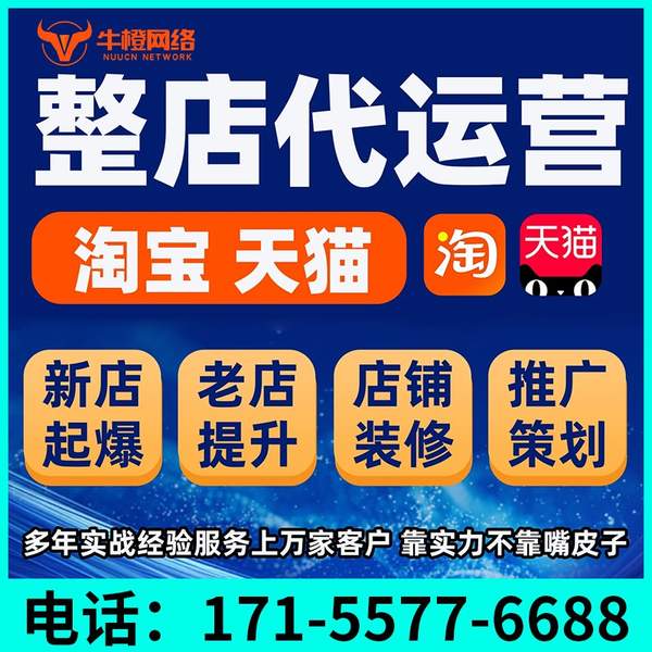 迪庆电商代运营