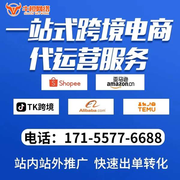 迪庆电商代运营