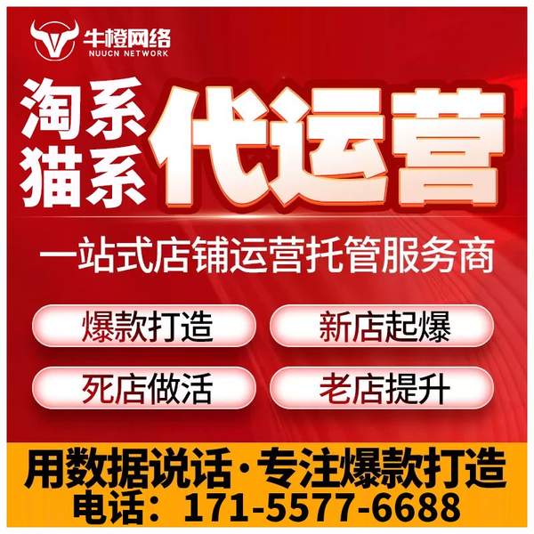 迪庆电商代运营
